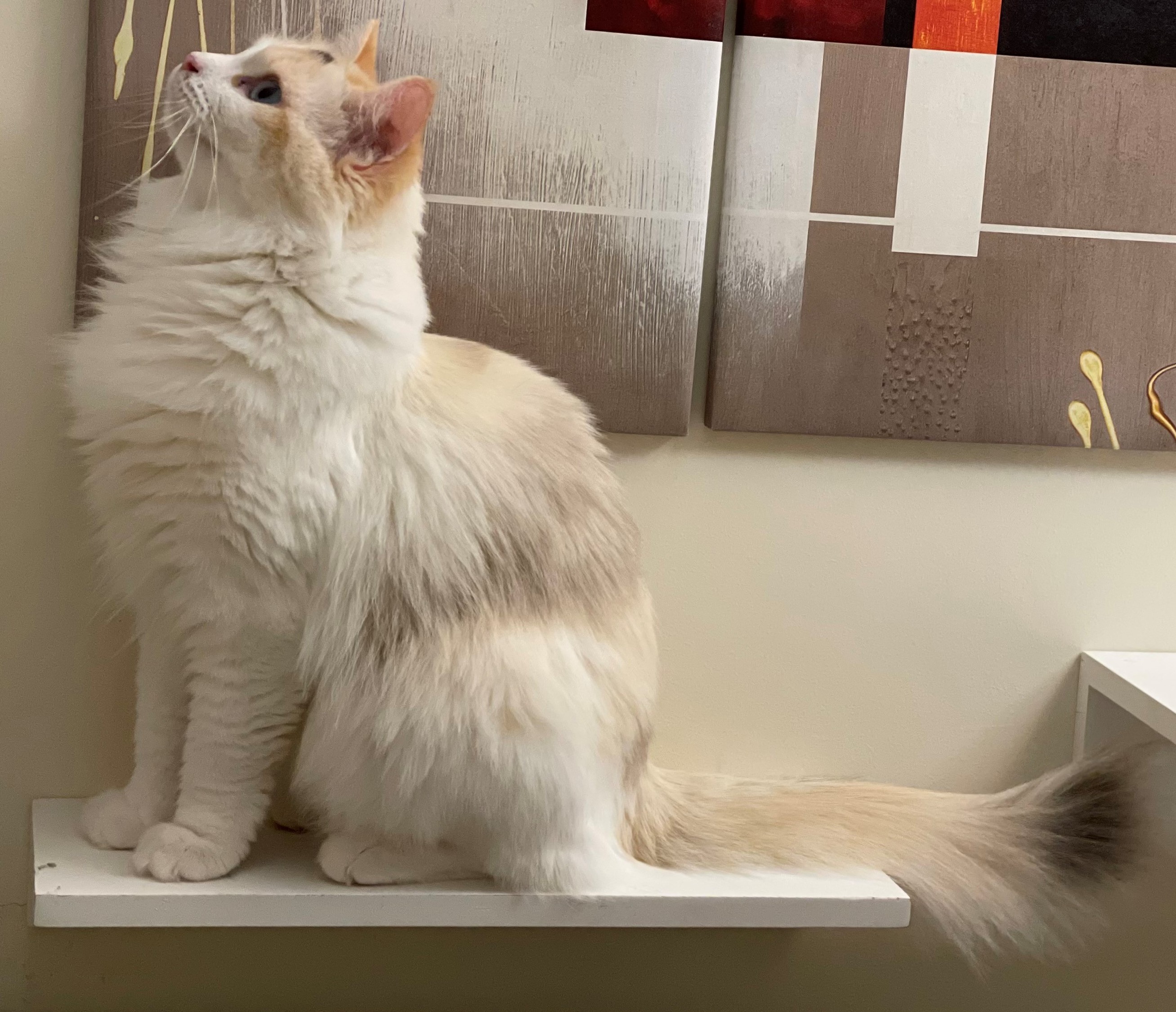 Poupèe Blanche Gretel